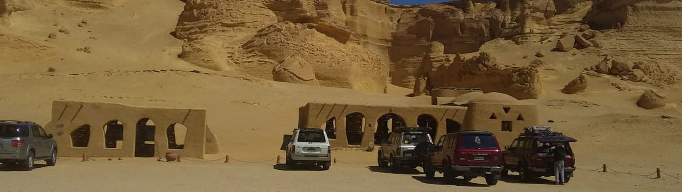Overnight Tours to Fayoum Oasis and Wadi Hitan(Valley of Whales) From Cairo