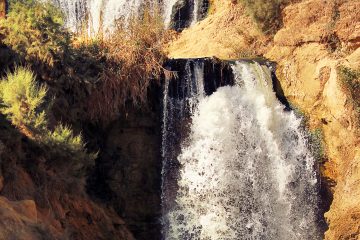 Tour to Fayoum Oasis and Wadi El Hitan from Cairo