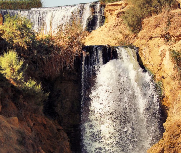 Tour to Fayoum Oasis and Wadi El Hitan from Cairo