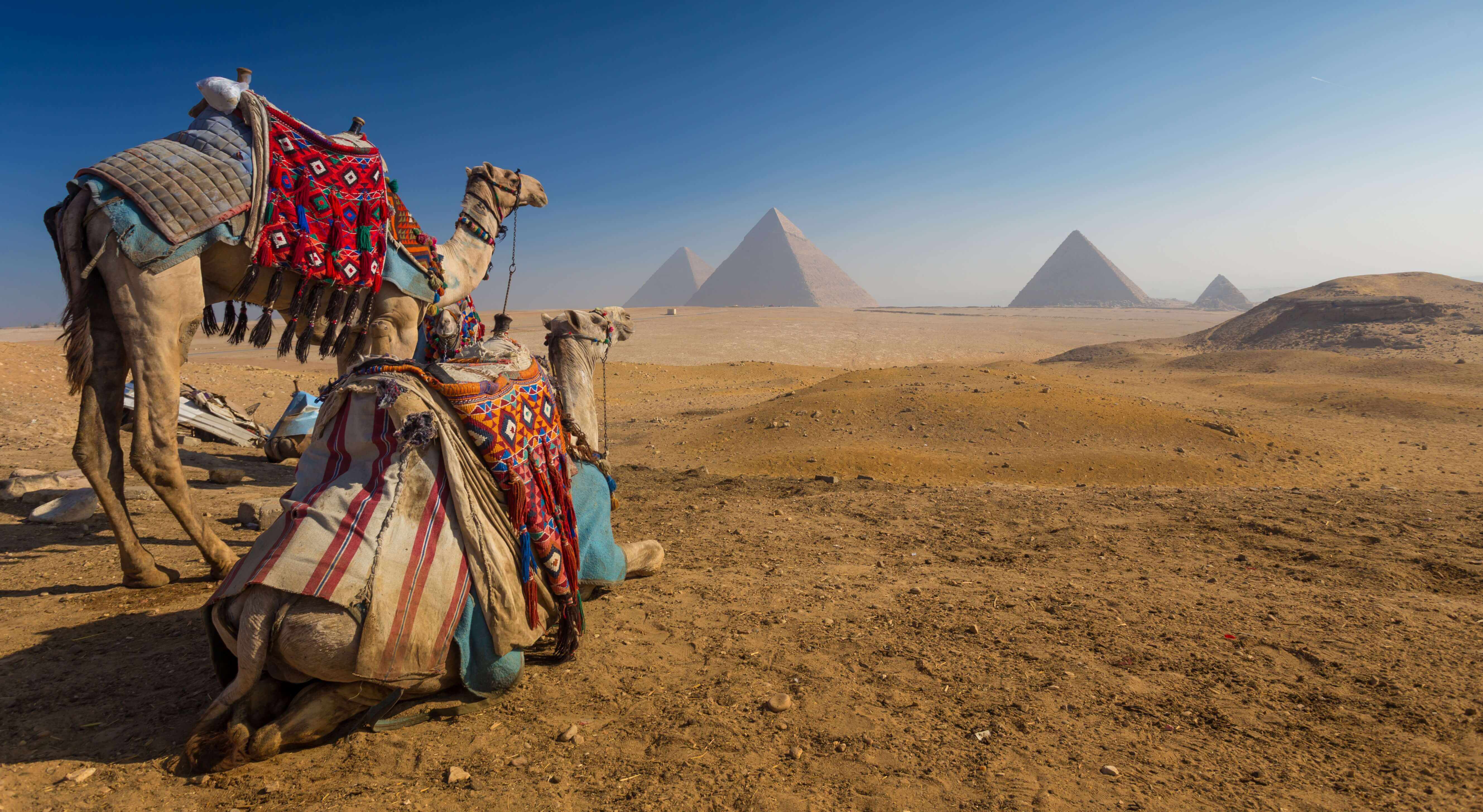 a tour of egypt