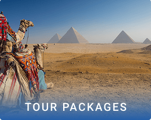 Tour Packages
