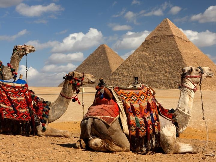Tour to Giza Pyramids including Riding a Camel