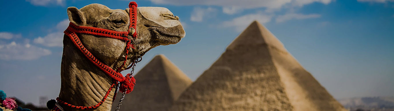 Affordable Private Half-Day Tour to Giza Pyramids& Sphinx with Lunch