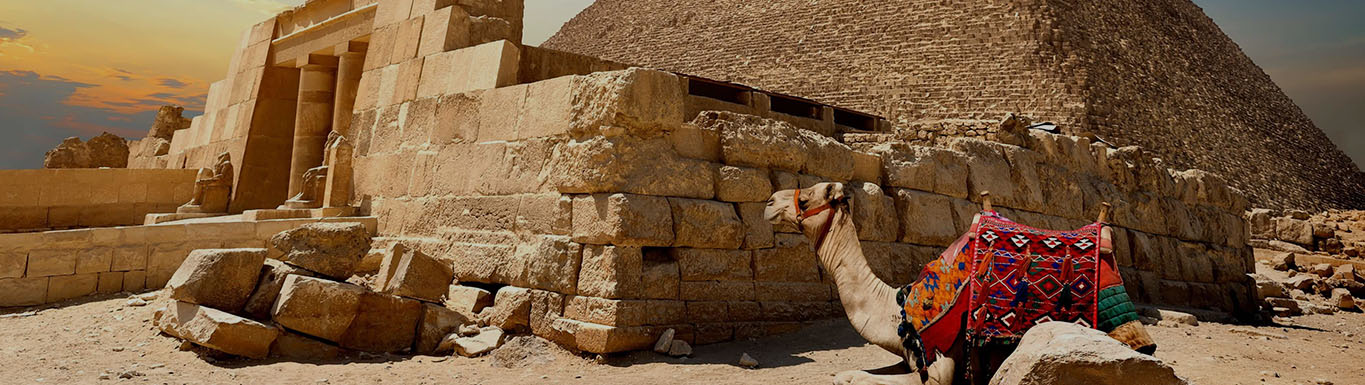 Tour to Giza Pyramids including Riding a Camel, Egyptian Museum and Felucca Ride